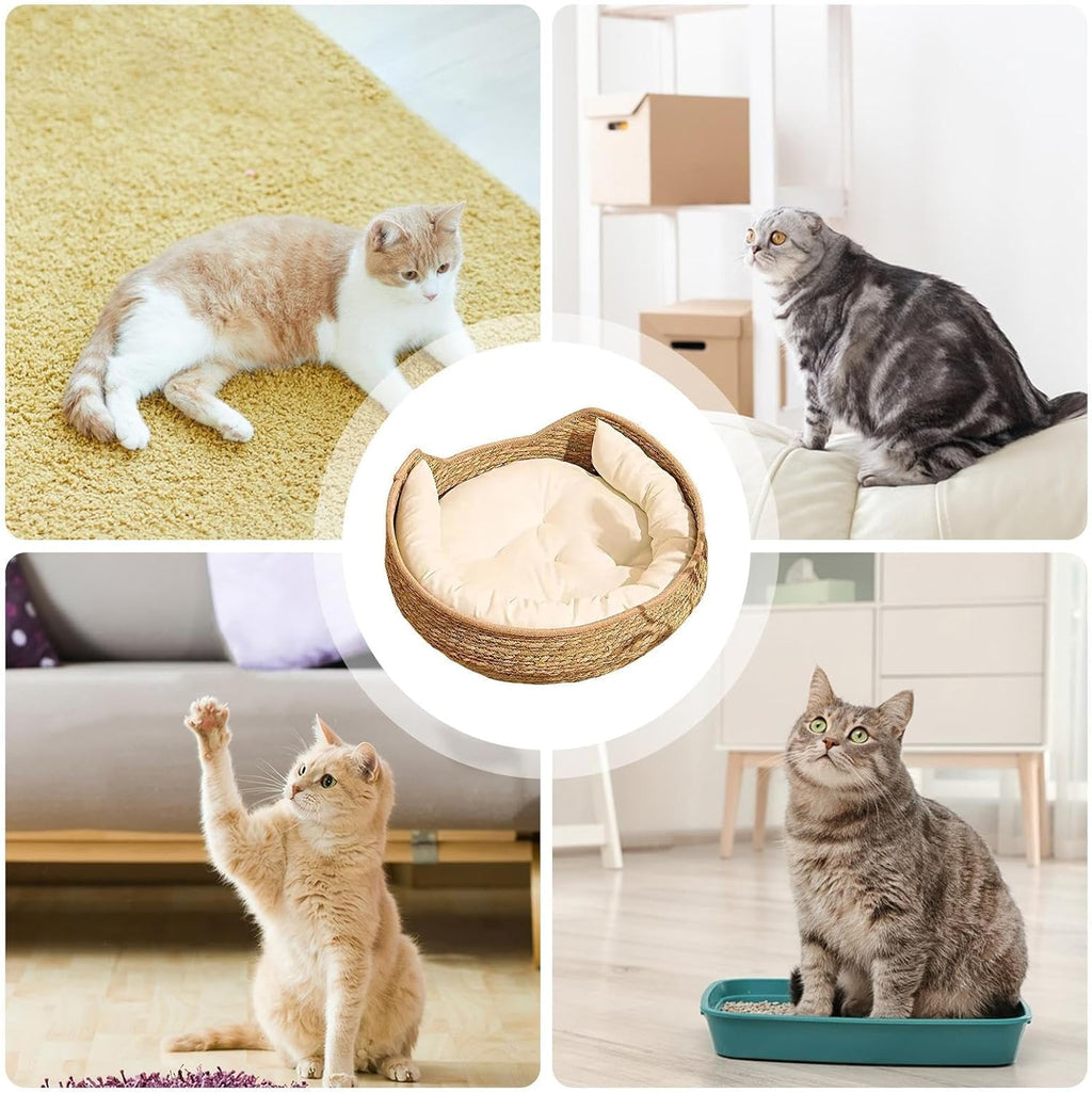 Genérico de Gato: Cama de Cesta Tejida de 5 Pulgadas para un Descanso, Comodidad de Toda la Temporada con función de Dormir y rascarse, Muebles de Almohada para Cachorros para