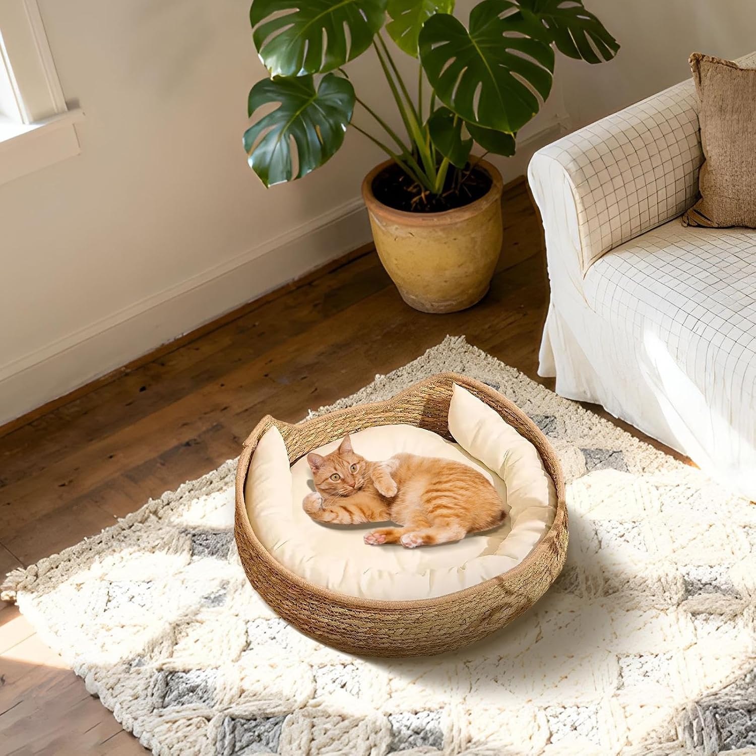 Genérico de Gato: Cama de Cesta Tejida de 5 Pulgadas para un Descanso, Comodidad de Toda la Temporada con función de Dormir y rascarse, Muebles de Almohada para Cachorros para