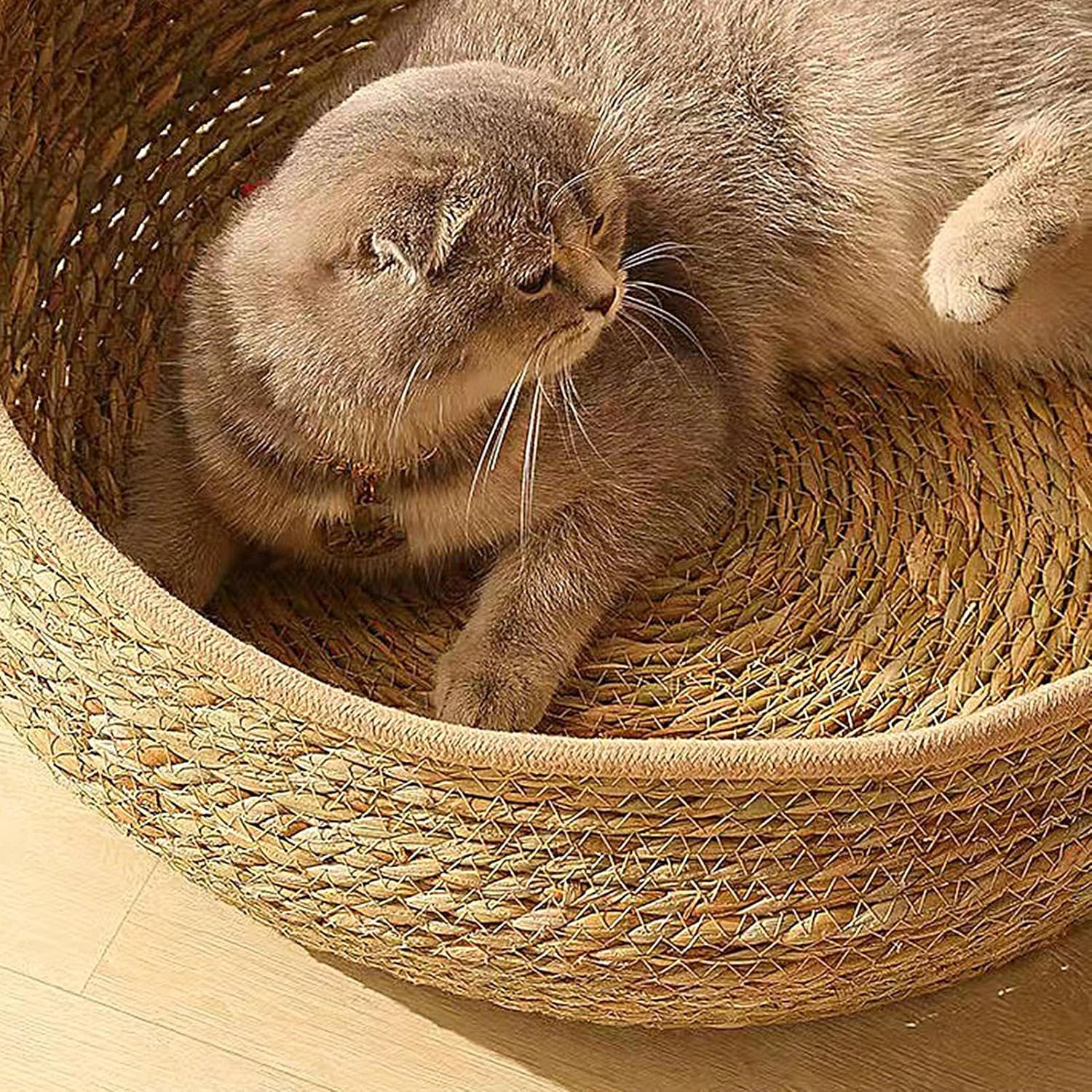 Genérico de Gato: Cama de Cesta Tejida de 5 Pulgadas para un Descanso, Comodidad de Toda la Temporada con función de Dormir y rascarse, Muebles de Almohada para Cachorros para